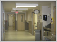 Louisville Orthopedic
