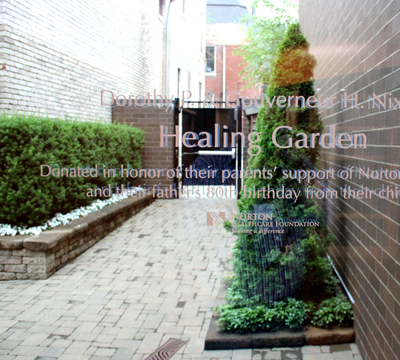 Healing Garden